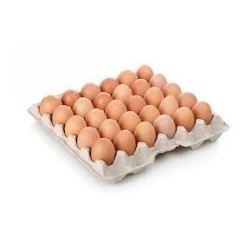 Huevos Pastoriles por Maple Coeco